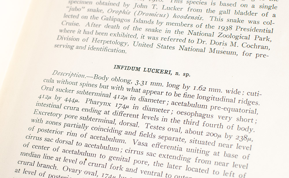 Franklin D. Roosevelt Inscribed Presidential Cruise Pamphlets.