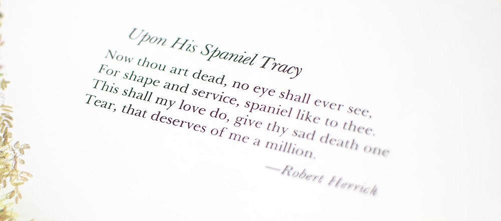 All For Love.