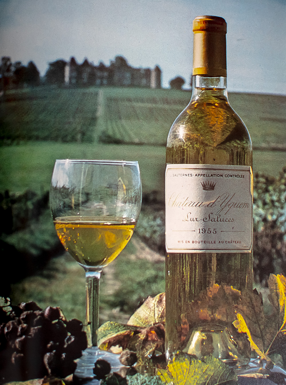 The Wines of Gala.
