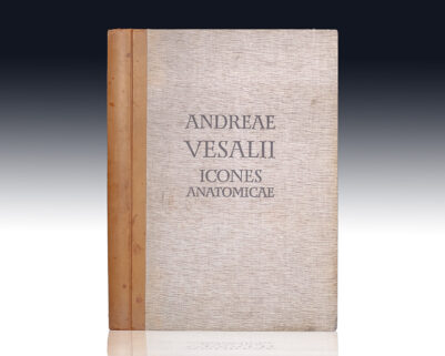 Andreae Vesalii Bruxellensis Icones Anatomicae.