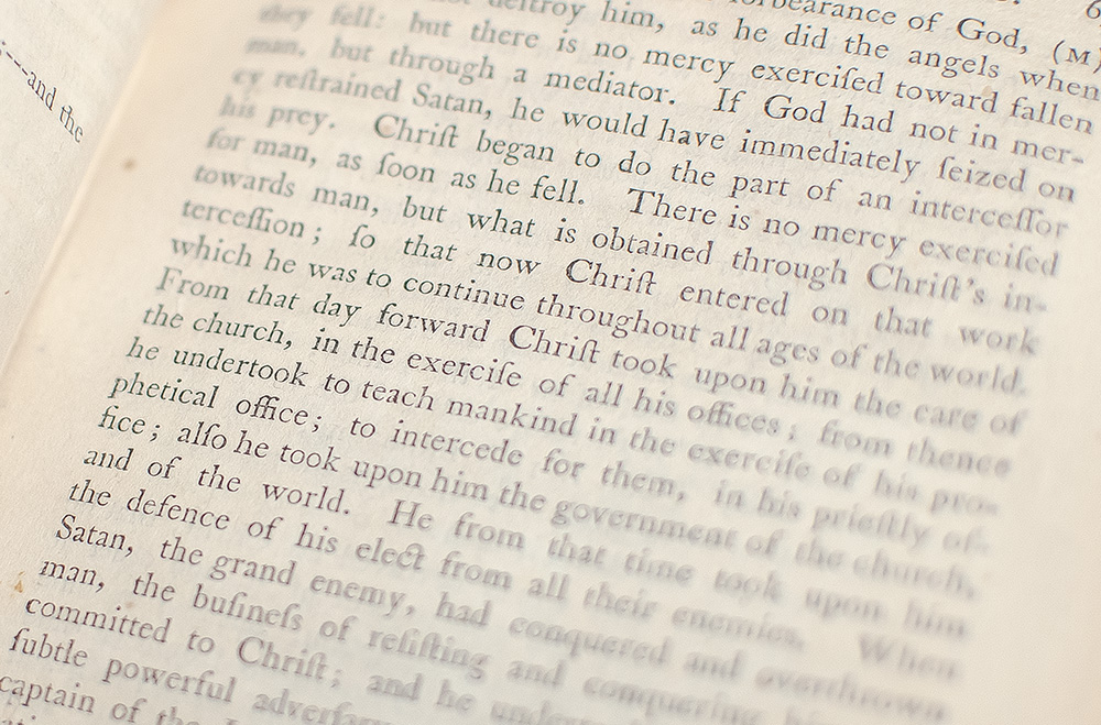 A History of the Work of Redemption.