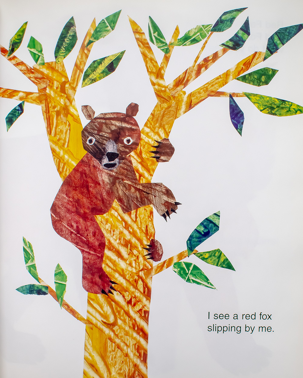Baby Bear, Baby Bear, What Do You See?