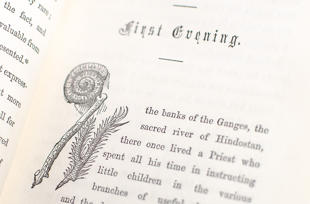 The Fossil Spirit: A Boy's Dream of Geology.