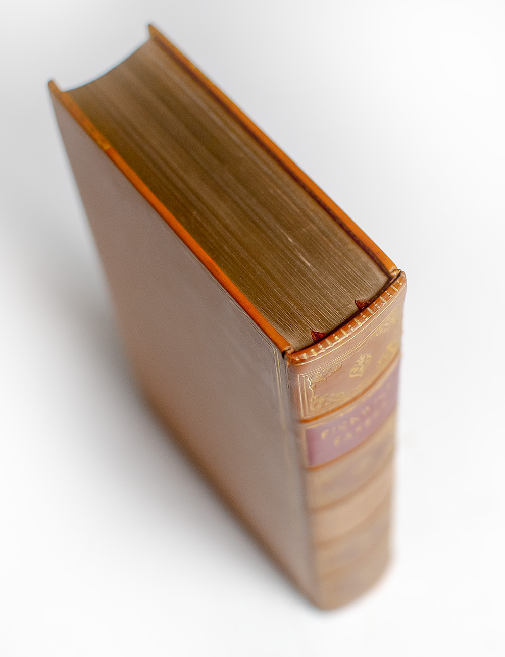 The Posthumous Papers of the Pickwick Club.