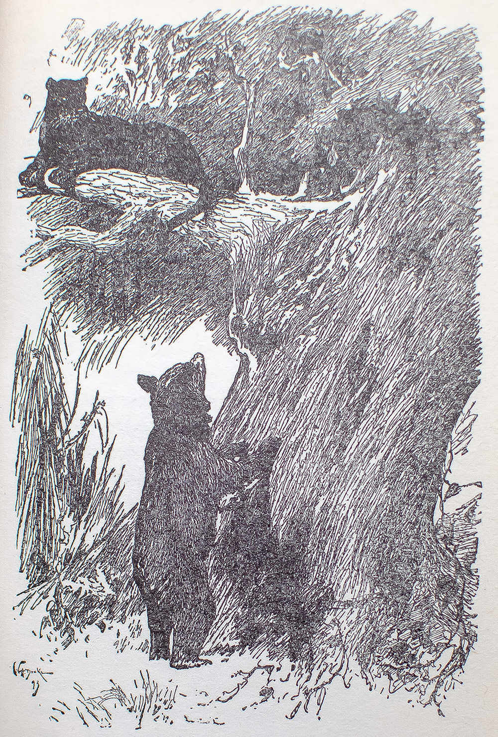 The Jungle Books.