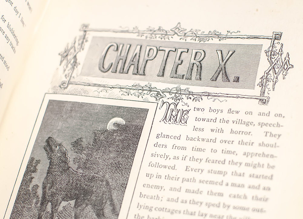 The Adventures of Tom Sawyer.