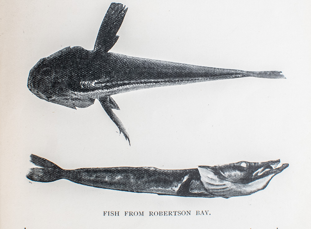 First on the Antarctic Continent: Being an Account of the British Antarctic Expedition 1898-1900.