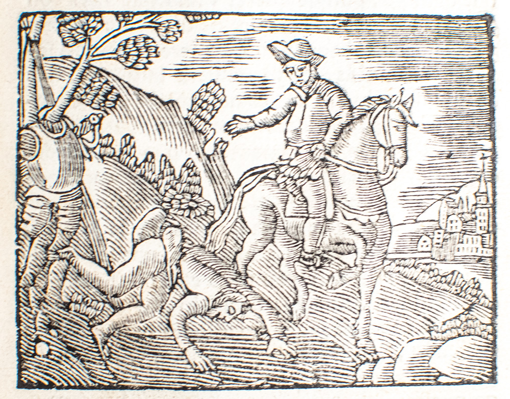 Vida Y Hechos del Ingeniso Hidalgo Don Quixote de la Mancha.