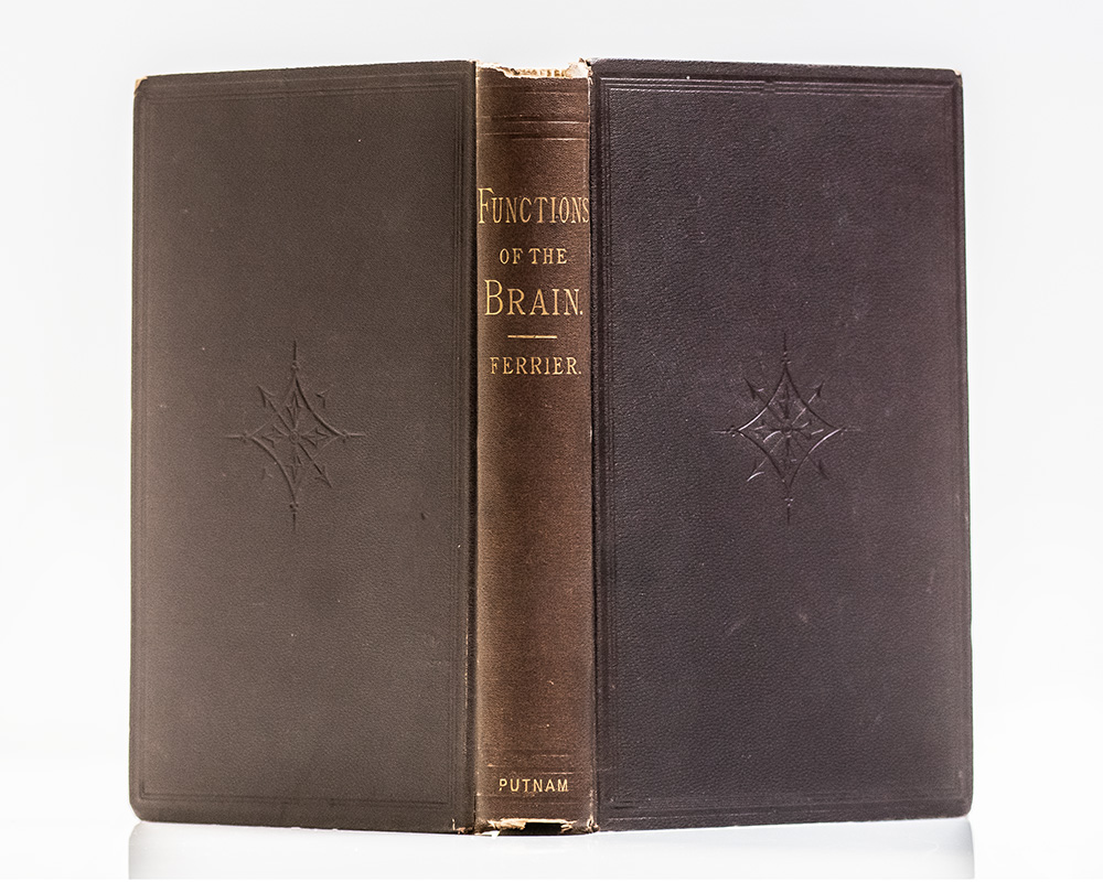 The Functions of the Brain.