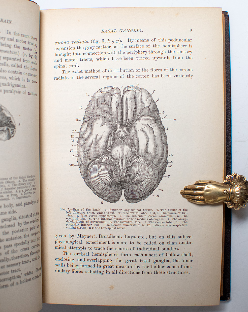 The Functions of the Brain.