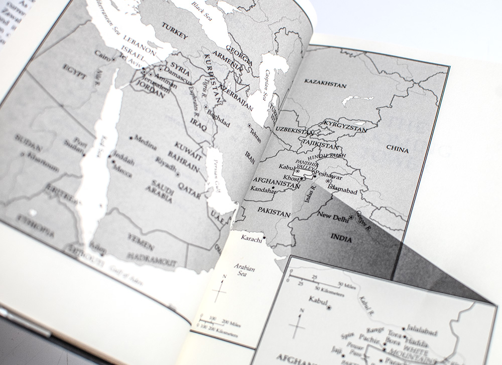 The Looming Tower: Al-Qaeda and the Road to 9/11.