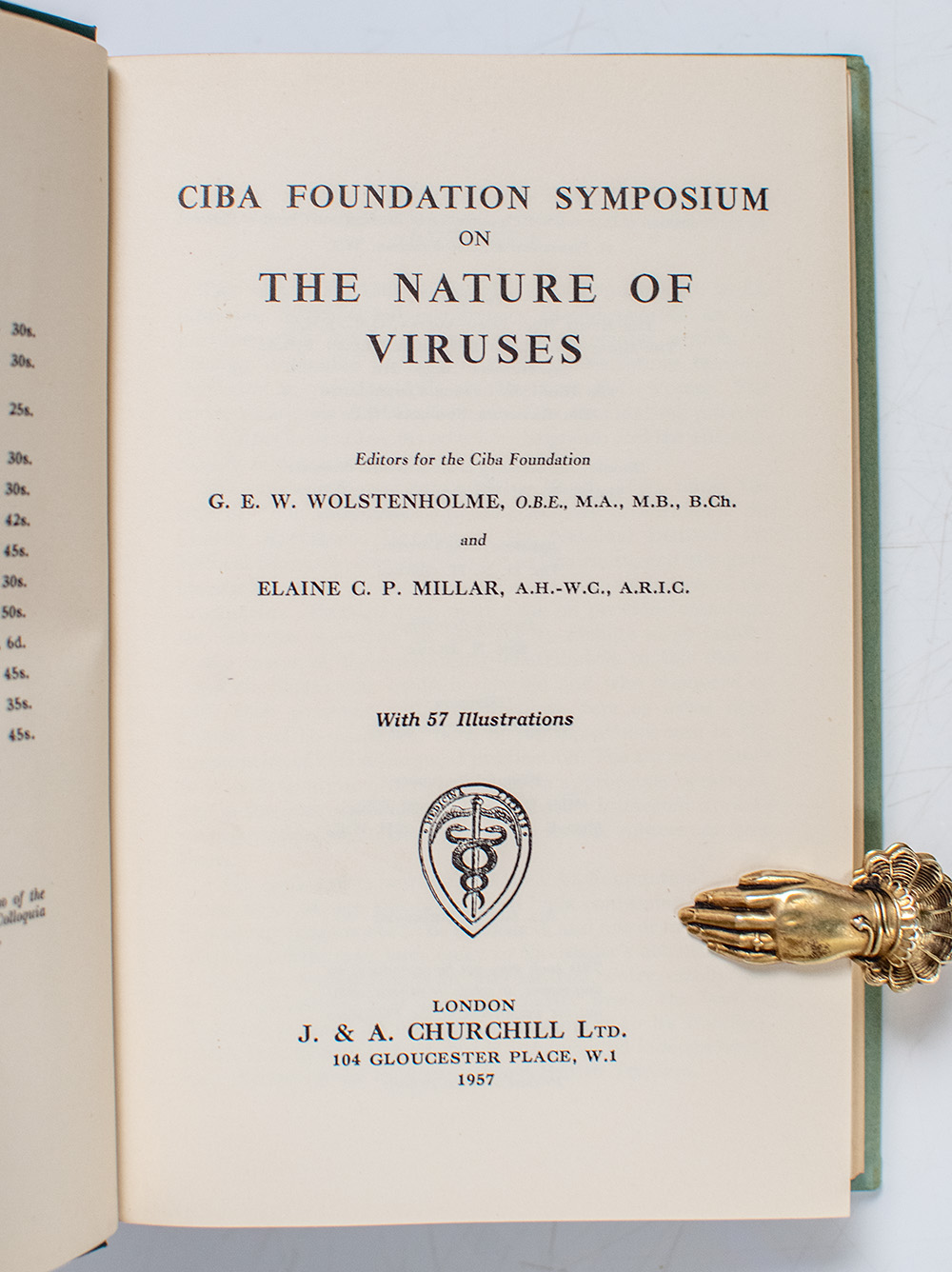 The Nature of Viruses: The Biophysics and Biochemistry of Viruses (CIBA Foundation Symposium).