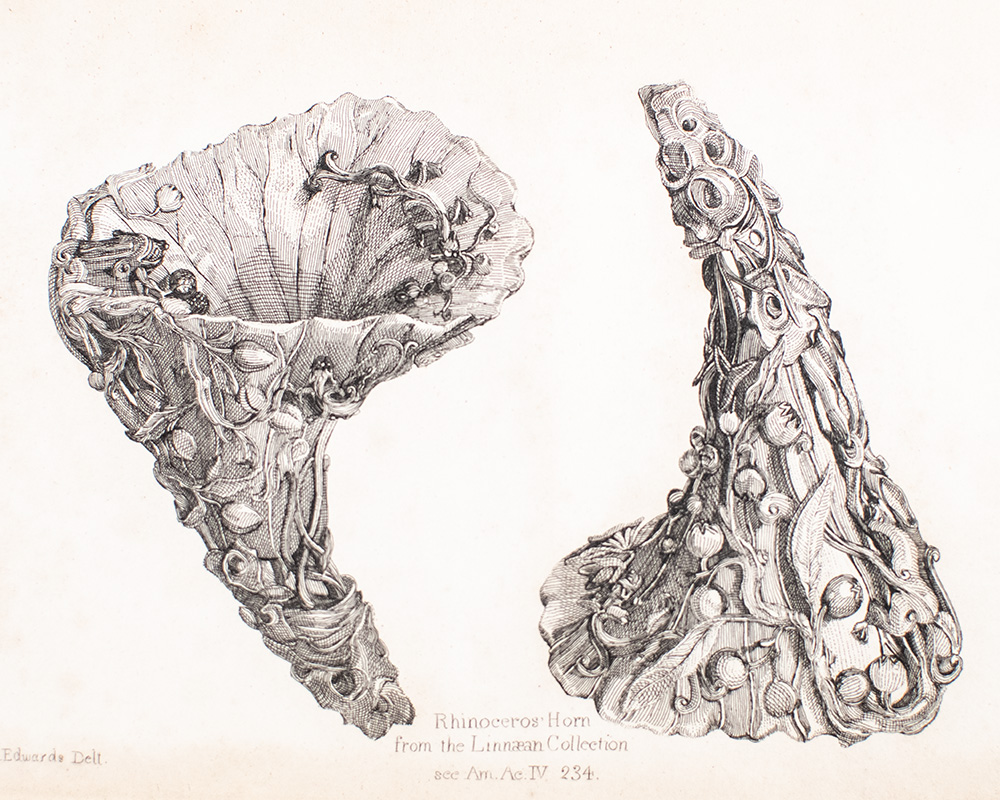 Memoir and Correspondence of the Late Sir James Edward Smith, M.D.