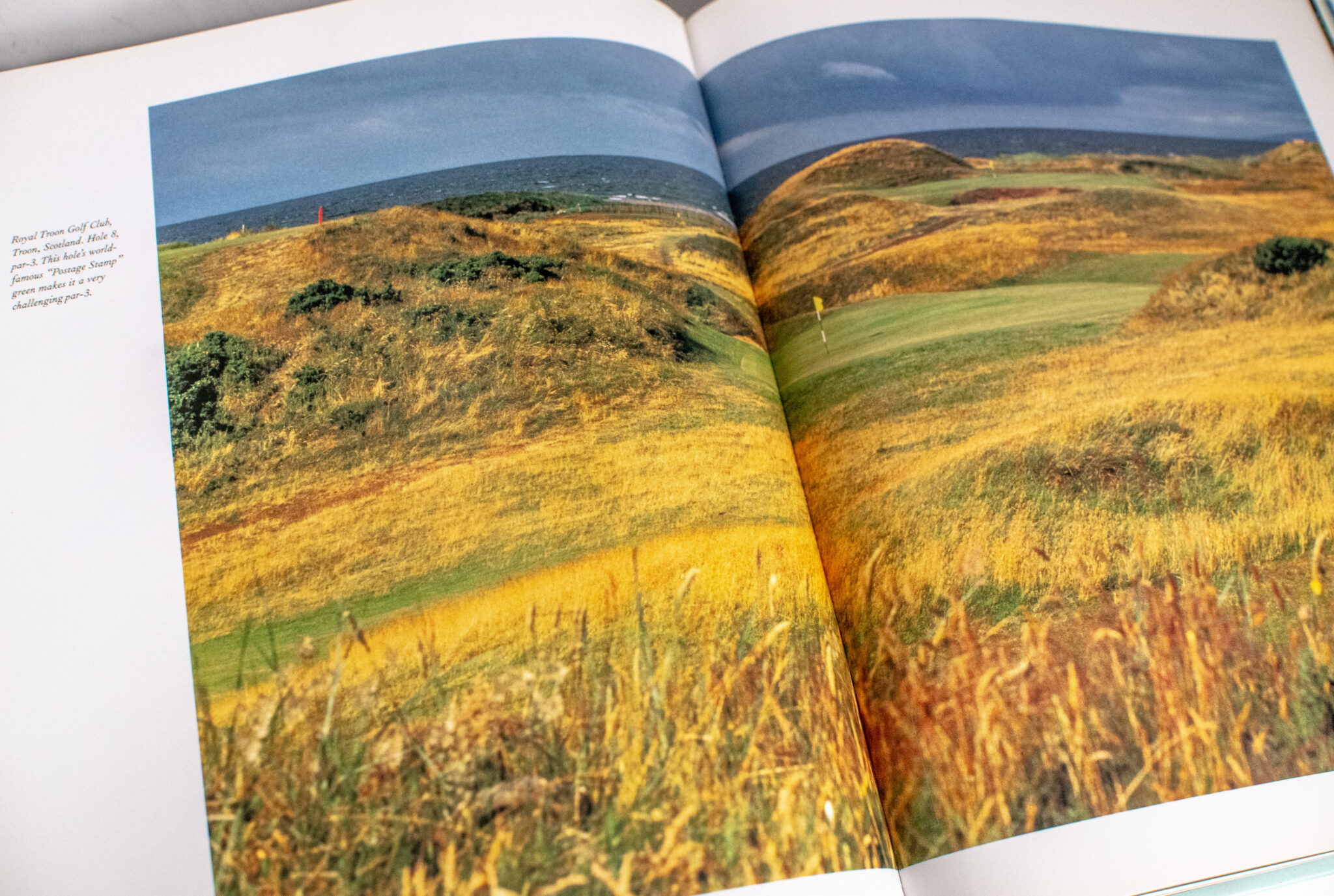 Nicklaus by Design: Golf Course Strategy and Architecture.