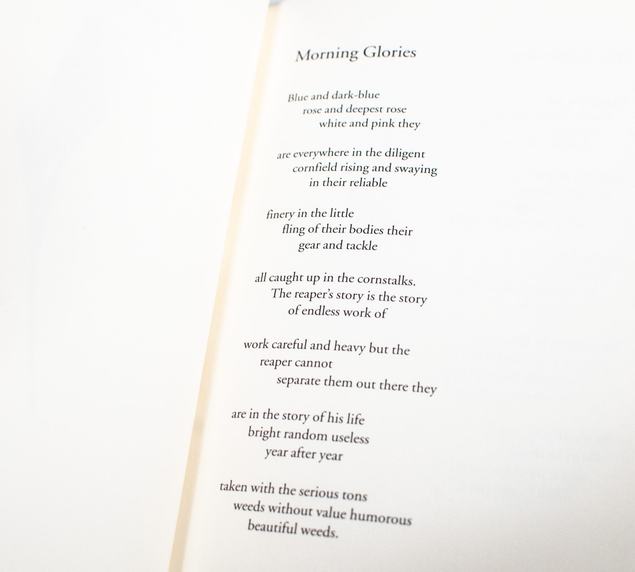 Blue Iris: Poems and Essays.