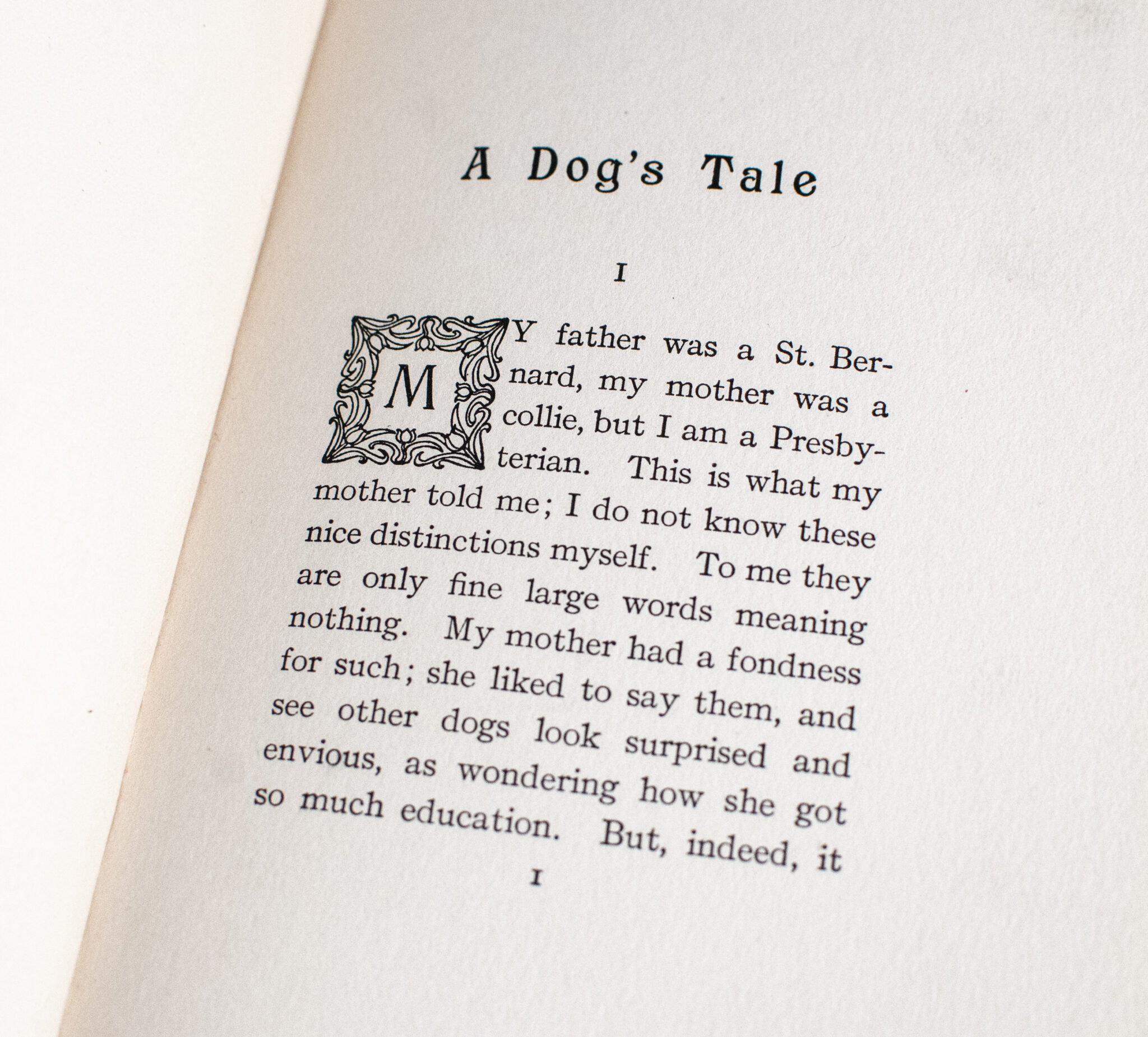 A Dog's Tale.