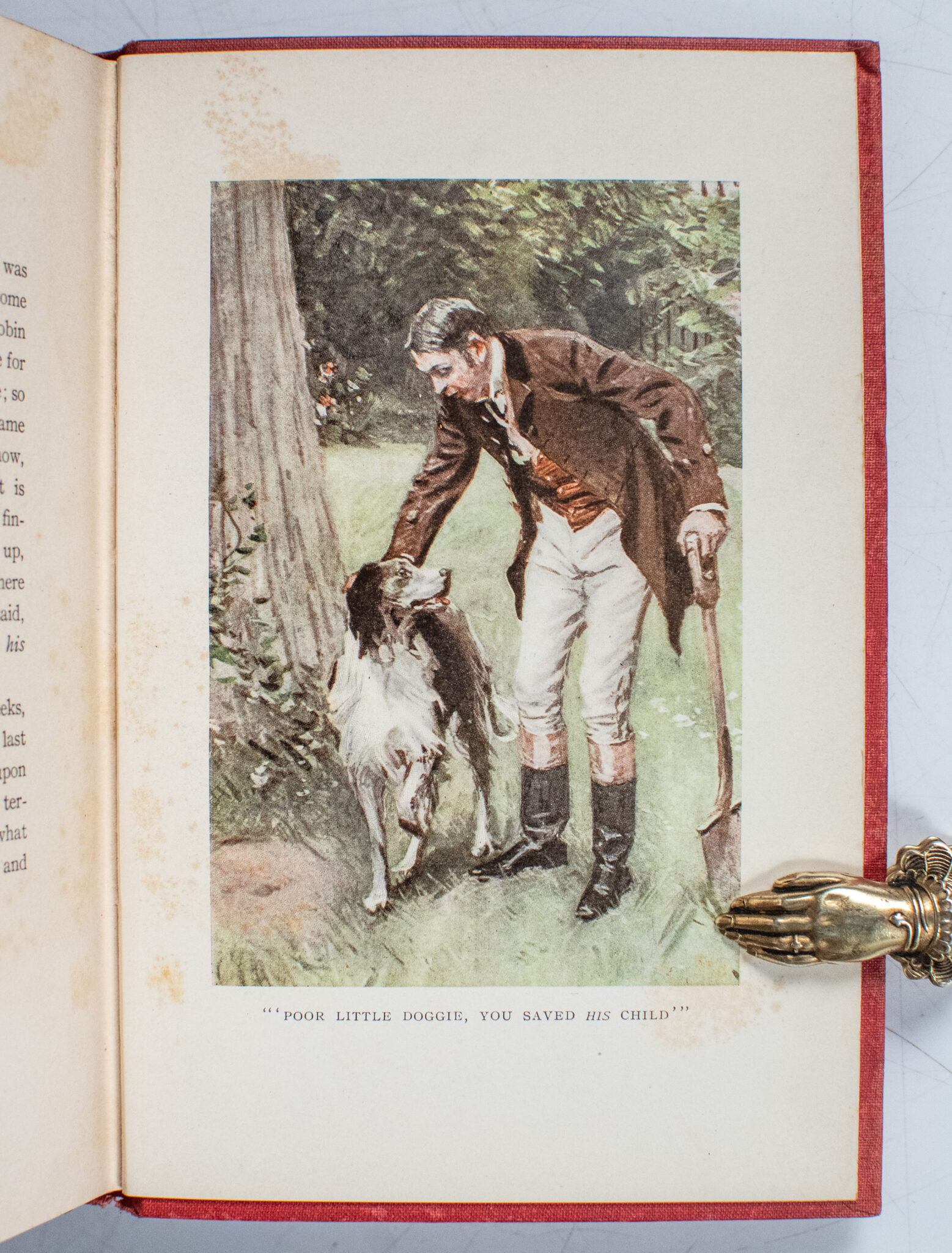 A Dog's Tale.