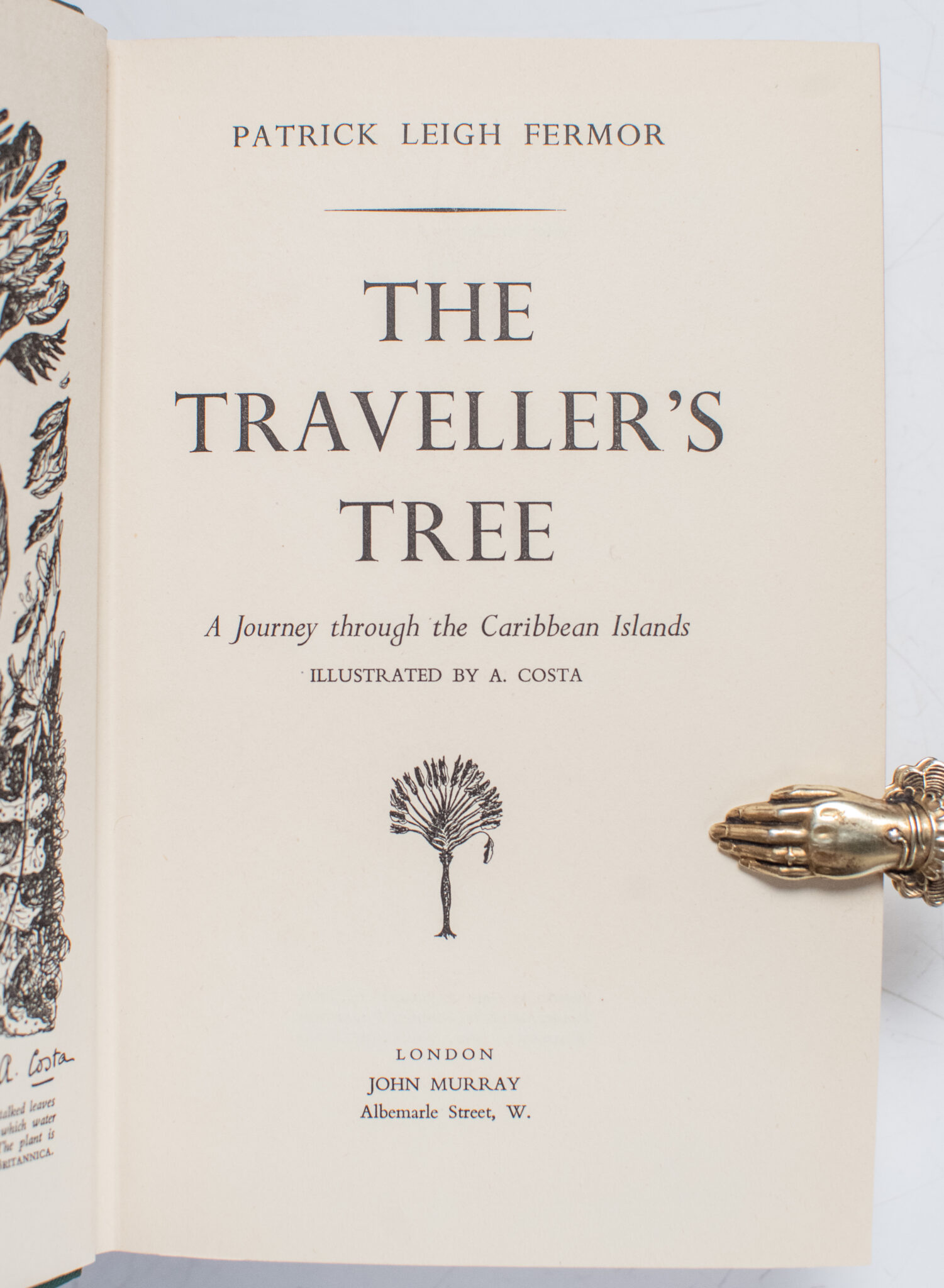 The Traveller’s Tree: A Journey Through the Caribbean Islands.
