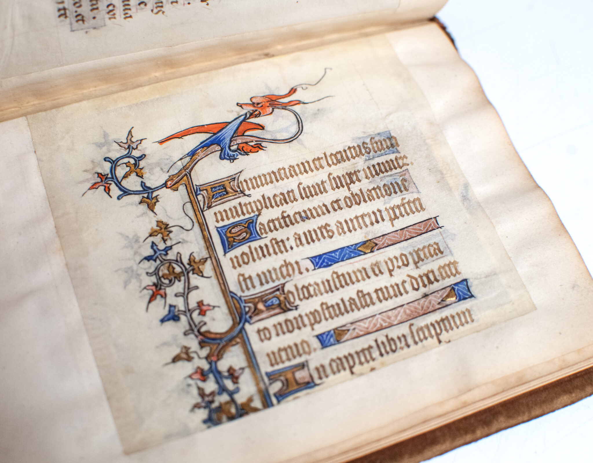 Thirteenth to Fifteenth Century Illuminated Book of Hours Leaf Book.