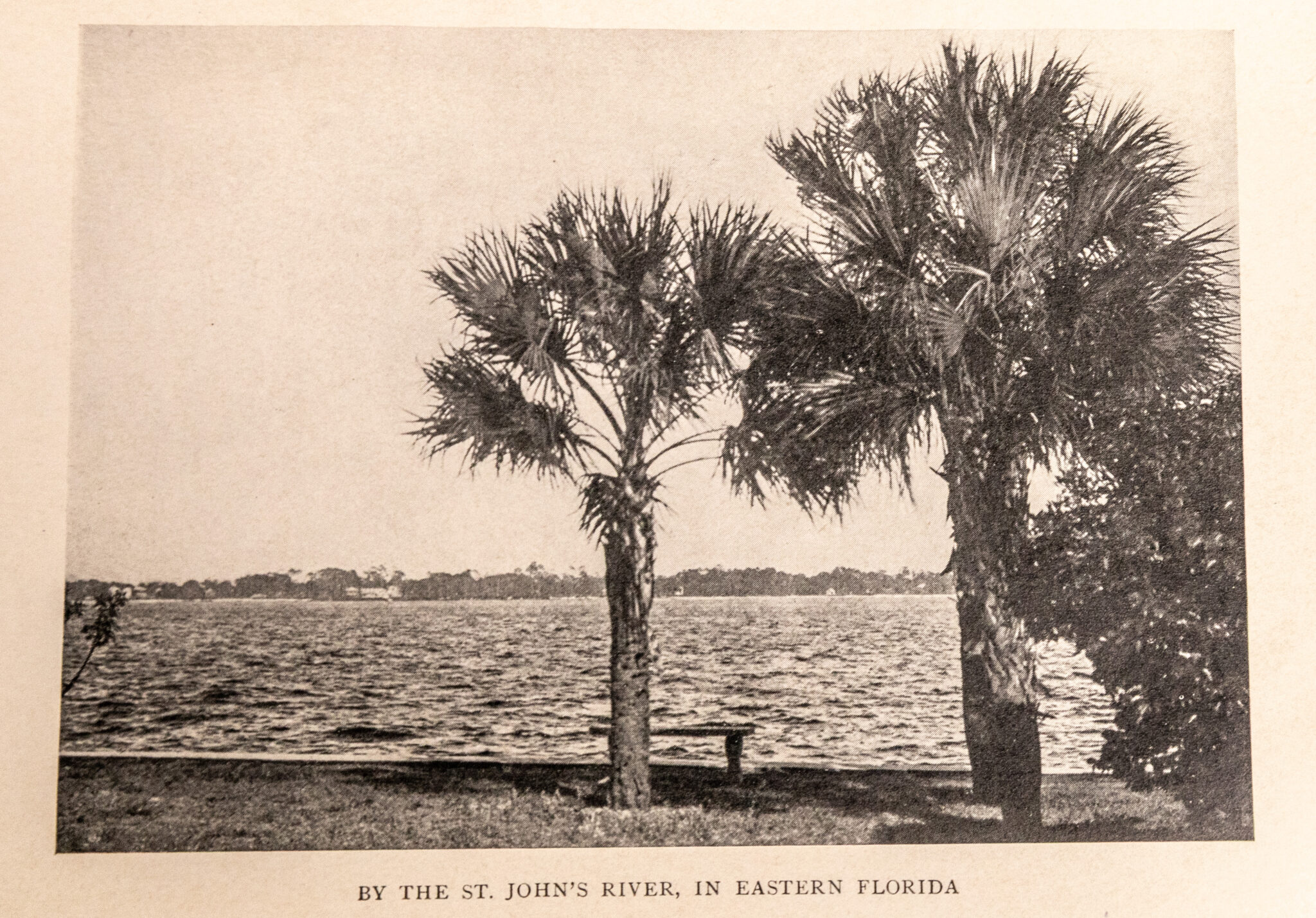 A Thousand-Mile Walk to the Gulf.