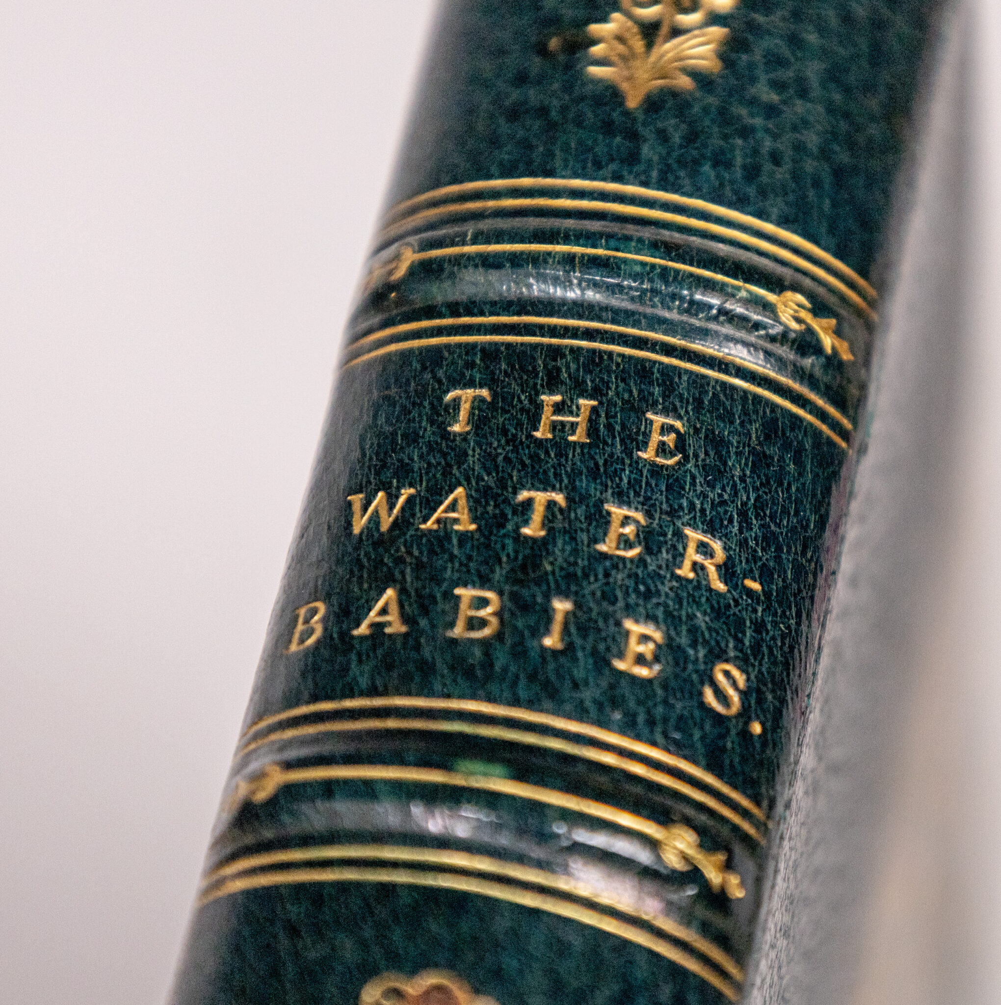 The Water-Babies: A Fairy Tale for a Land-Baby.