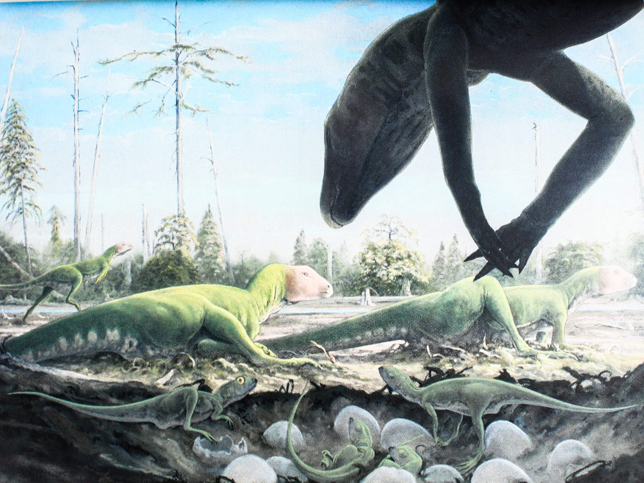 Jurassic Park and The Lost World.