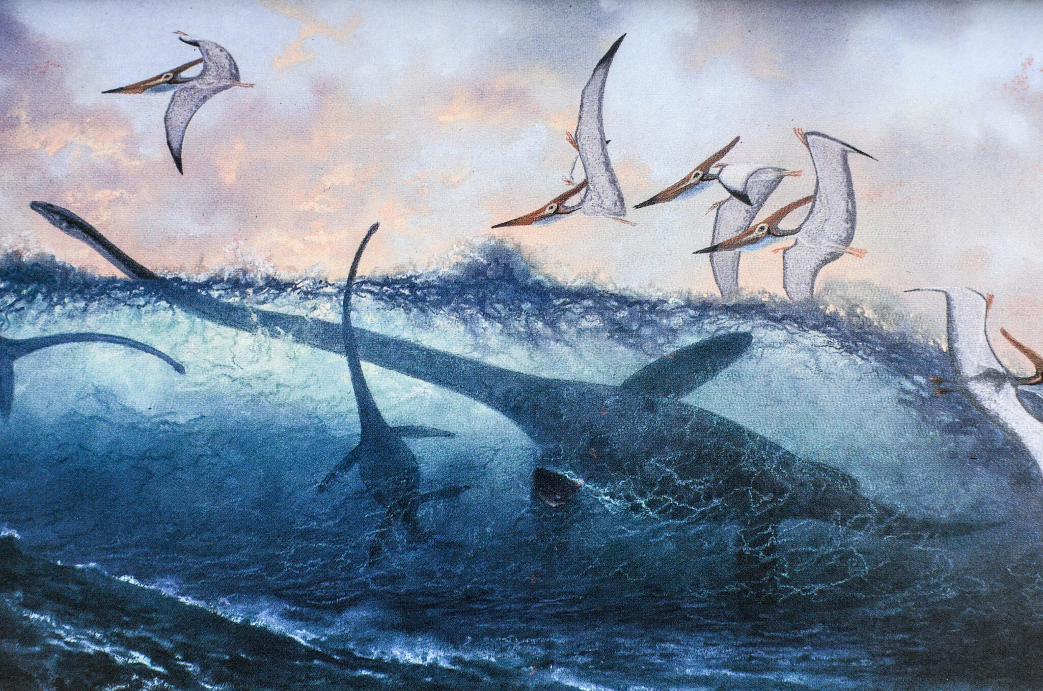 Jurassic Park and The Lost World.
