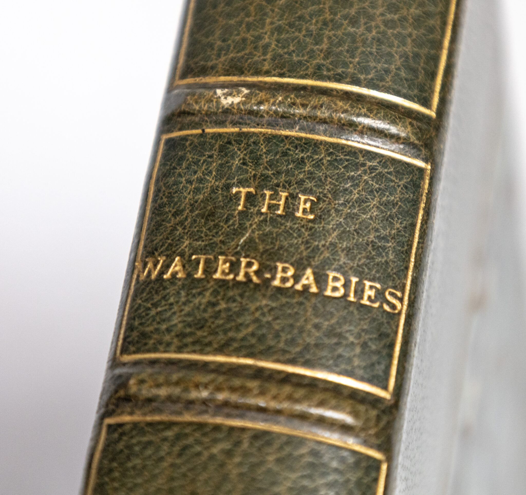 The Water-Babies: A Fairy Tale for a Land-Baby.