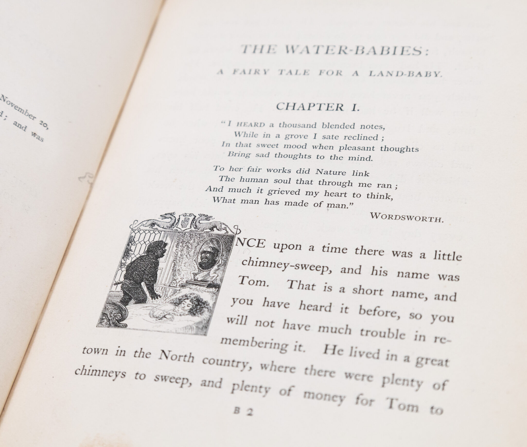 The Water-Babies: A Fairy Tale for a Land-Baby.
