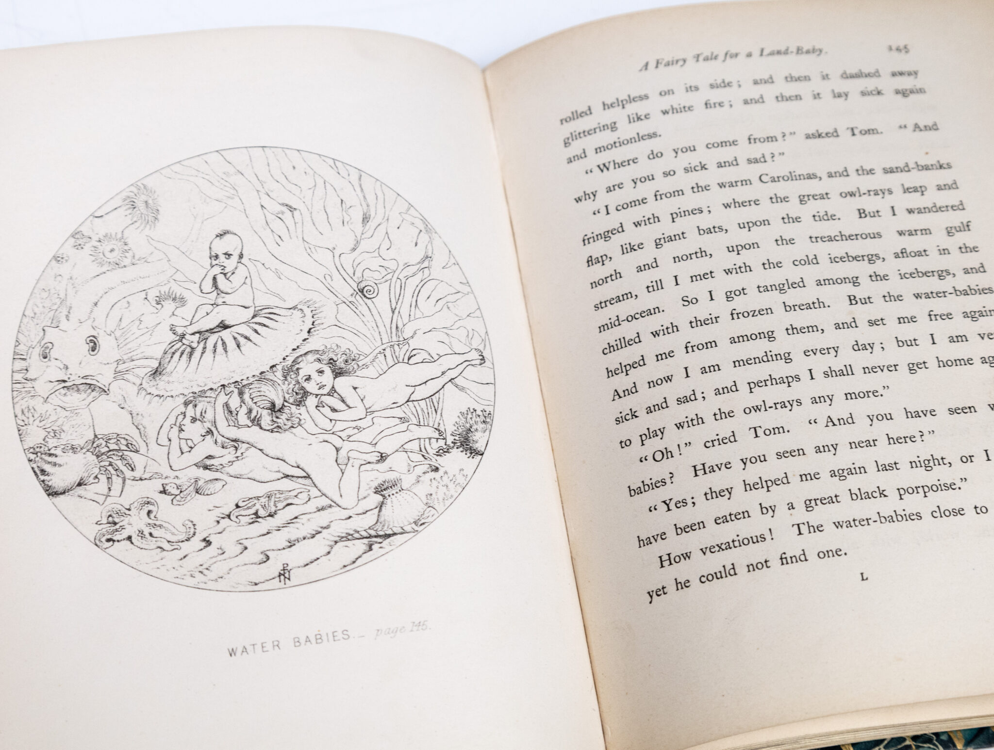 The Water-Babies: A Fairy Tale for a Land-Baby.