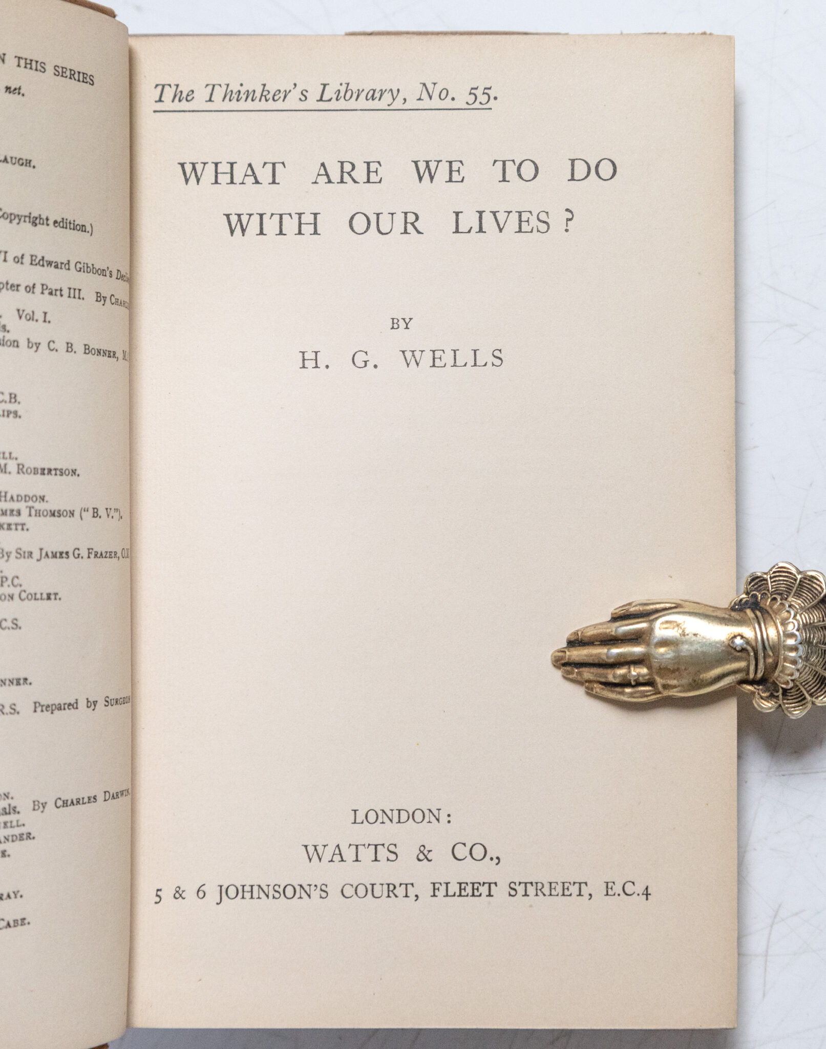 What Are We To Do With Our Lives?