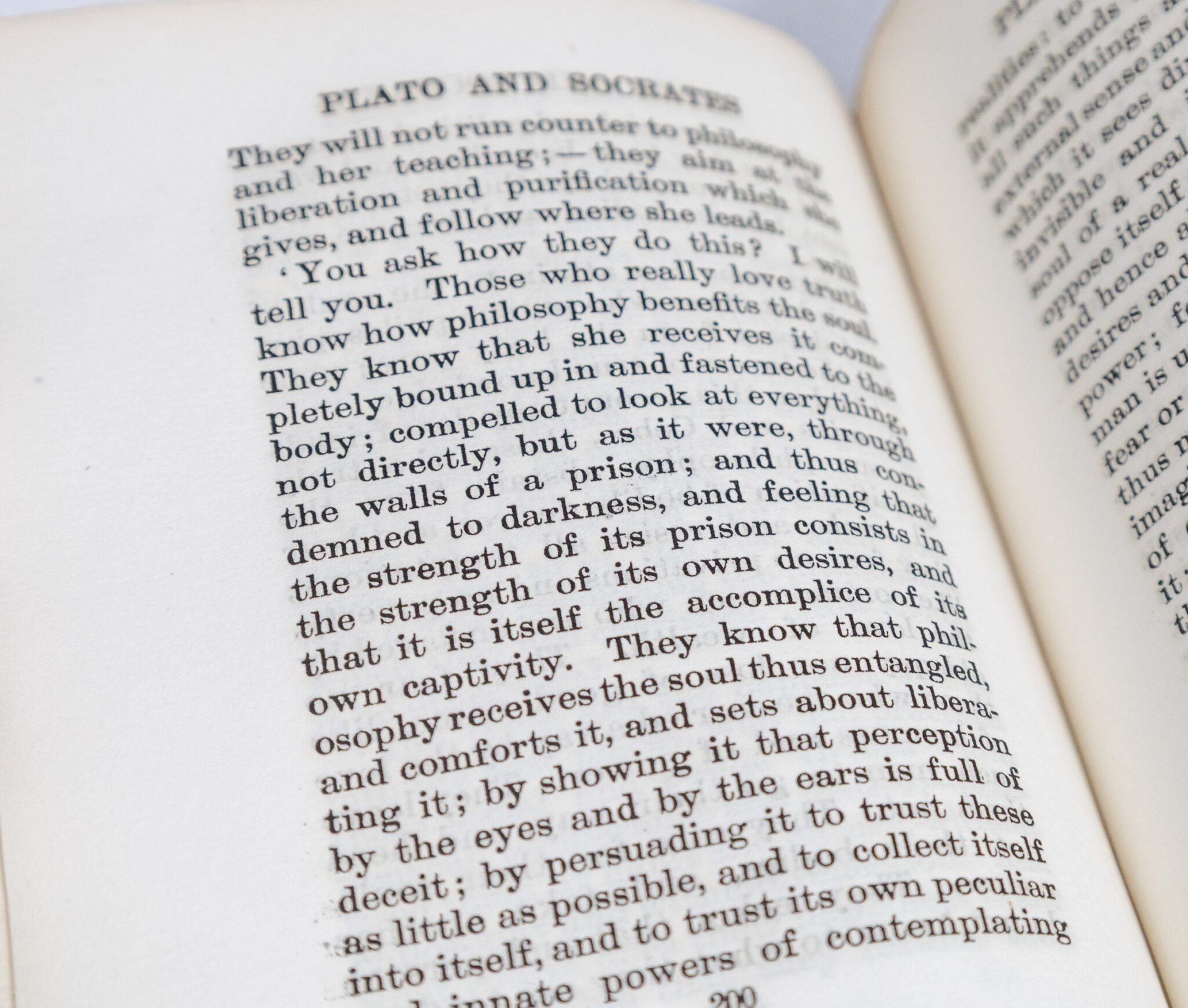 Plato and Socrates.