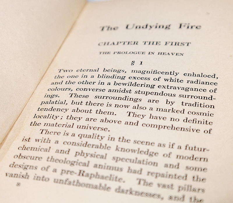 The Undying Fire: A Contemporary Novel.