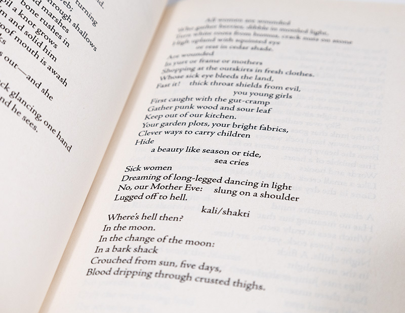Riprap and Cold Mountain Poems.