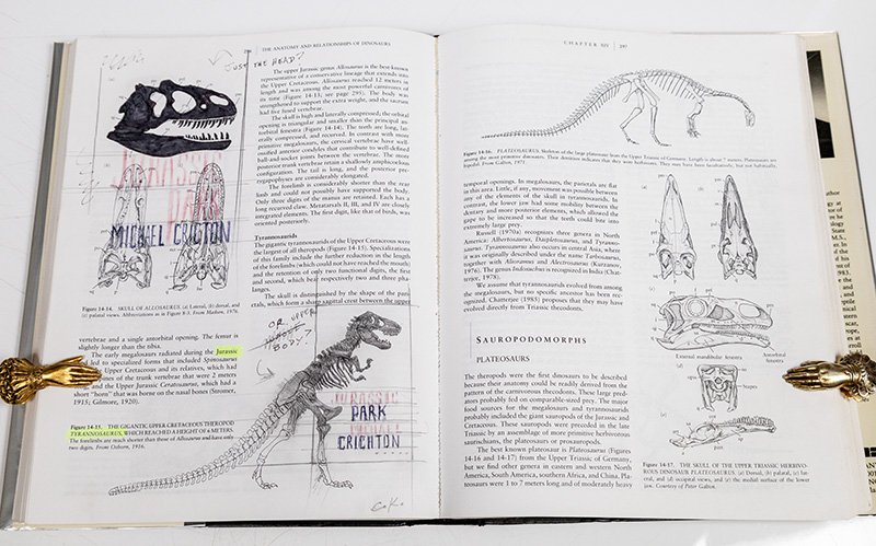 Vertebrate Paleontology and Evolution.