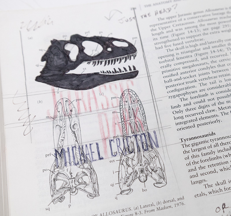 Vertebrate Paleontology and Evolution.