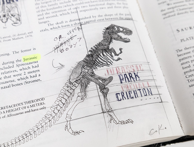 Vertebrate Paleontology and Evolution.