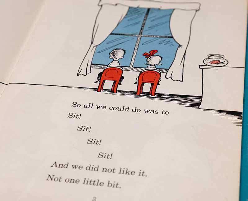 The Cat in the Hat.