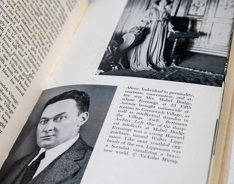 The Improper Bohemians: A Re-creation of Greenwich Village in Its Heyday.