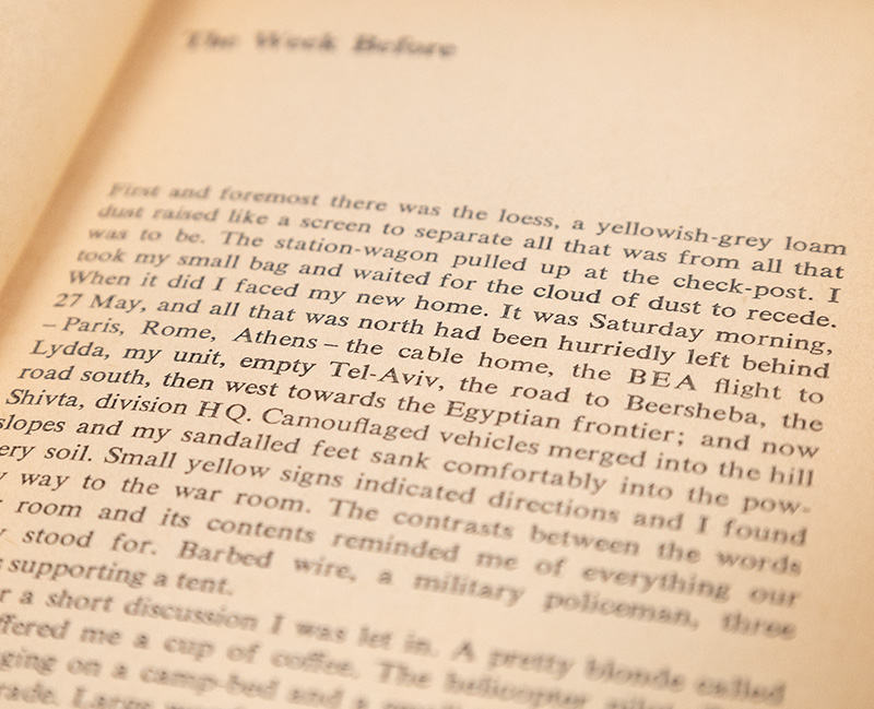 A Soldier's Diary: Sinai 1967.