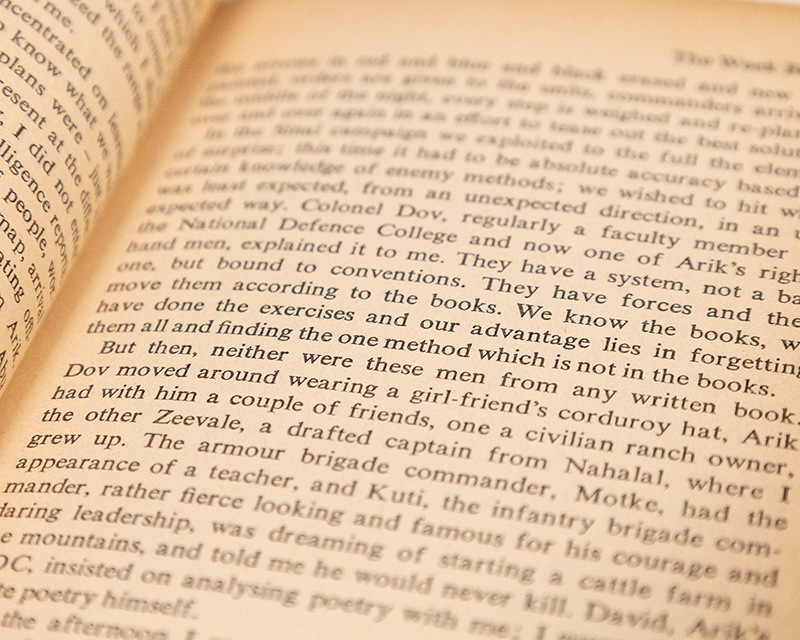 A Soldier's Diary: Sinai 1967.