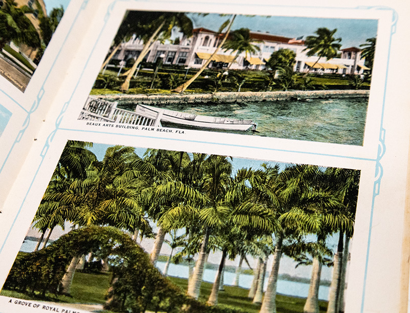 Souvenir of The Palm Beaches, Florida.