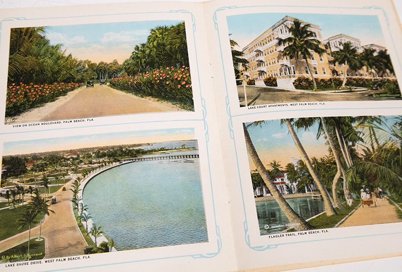 Souvenir of The Palm Beaches, Florida.