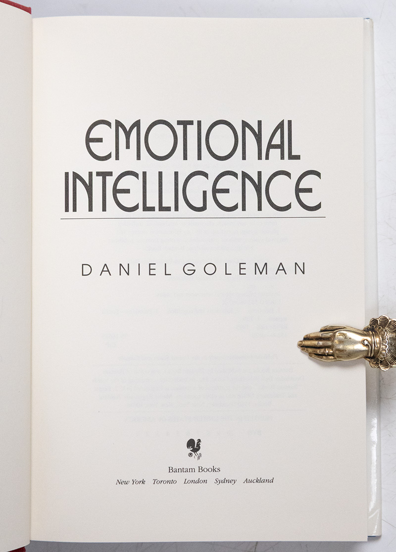 Emotional Intelligence: Why It Can Matter More Than IQ.