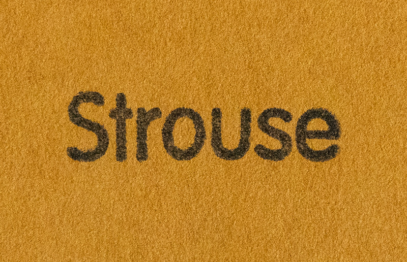 Stravinsky: In Pictures and Documents.
