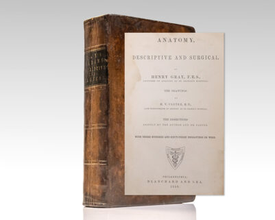 Anatomy, Descriptive and Surgical [Gray's Anatomy].