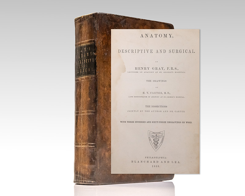 Anatomy, Descriptive and Surgical [Gray’s Anatomy].